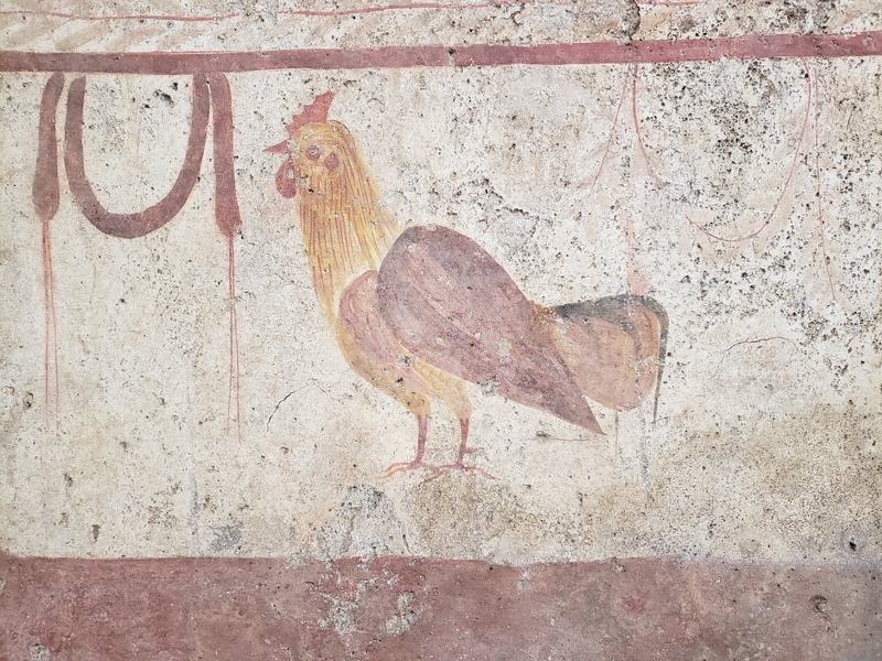 Cockerel - Vannuolo Tomb 4, c. 350 BC.jpg