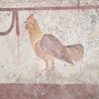 Cockerel - Vannuolo Tomb 4, c. 350 BC.jpg